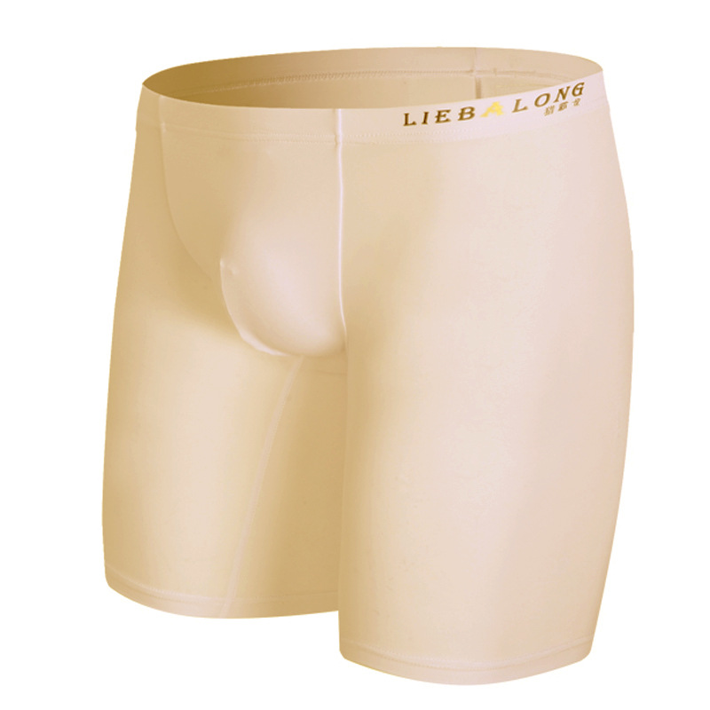 Boxer à sulfJambes pour Homme, - Long Leg Trunk Men avis et prix