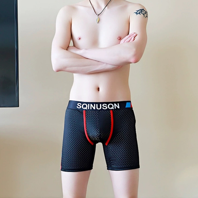 Caleçons boxers en maille de s - Long Leg Trunk Men avis et prix