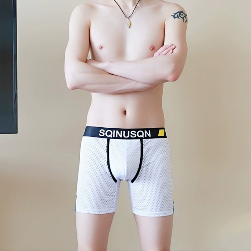Caleçons boxers en maille de s - Long Leg Trunk Men avis et prix